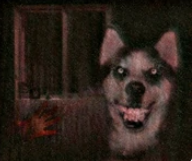 smile.jpg